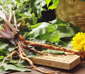 Dandelion Root Tea: Nature’s Hidden Magic