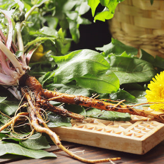 Dandelion Root Tea: Nature’s Hidden Magic