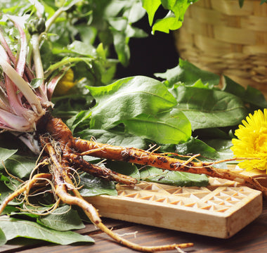Dandelion Root Tea: Nature’s Hidden Magic